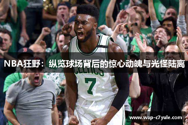 NBA狂野：纵览球场背后的惊心动魄与光怪陆离