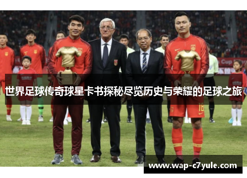 世界足球传奇球星卡书探秘尽览历史与荣耀的足球之旅
