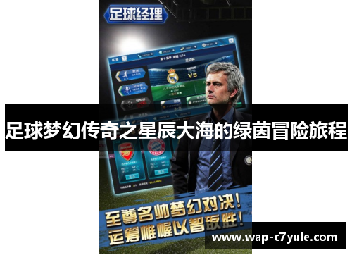 足球梦幻传奇之星辰大海的绿茵冒险旅程
