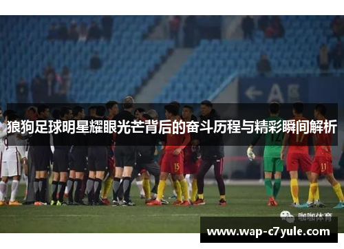 狼狗足球明星耀眼光芒背后的奋斗历程与精彩瞬间解析