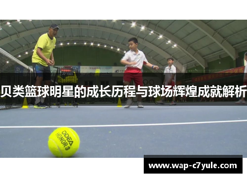 贝类篮球明星的成长历程与球场辉煌成就解析