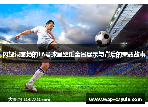 闪耀绿茵场的16号球星壁纸全景展示与背后的荣耀故事